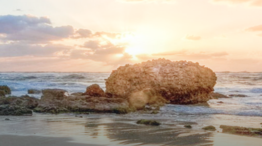 佰利乐·(中国区)有限公司官网